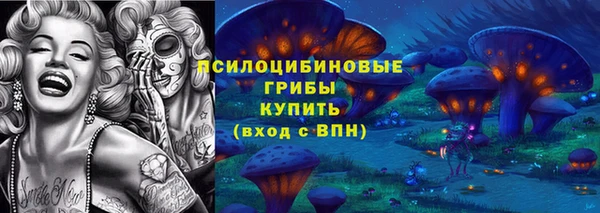 герыч Арсеньев