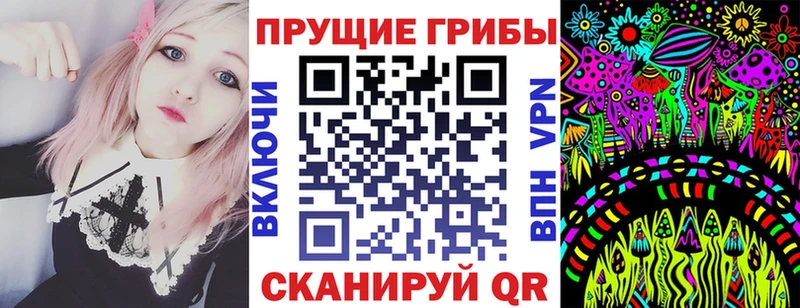 Псилоцибиновые грибы мицелий ссылка на мегу вход Ельня