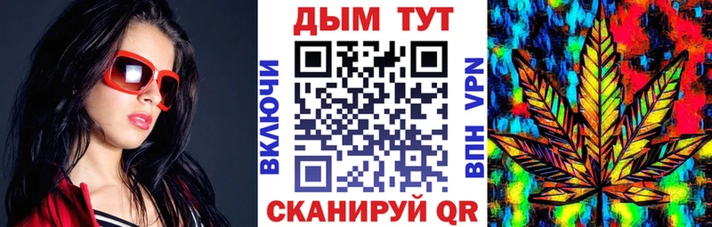 где купить наркоту Ельня Бошки марихуана Amnesia
